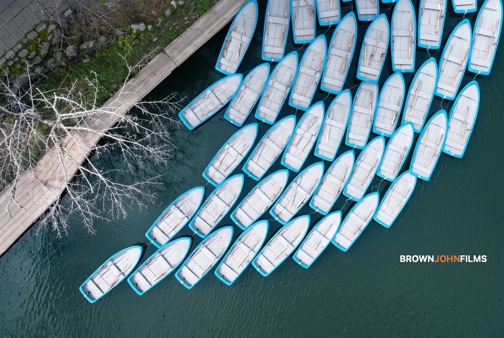 Rows of blue and white rowing boats moored at a dock, from above